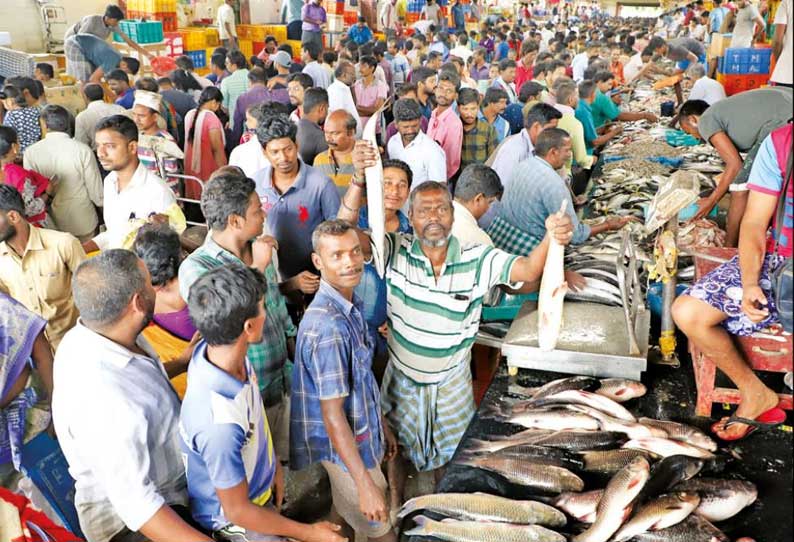 புரட்டாசி மாதம் முடிந்த நிலையில் மீன் மார்க்கெட்களில் மக்கள் கூட்டம் அலைமோதுகிறது