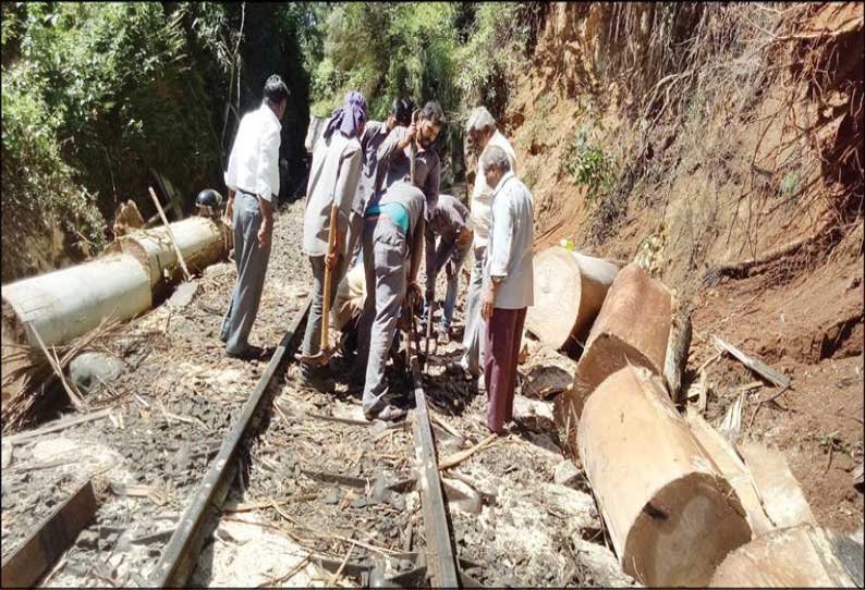 வெலிங்டன் அருகே ஊட்டி மலைரெயில் பாதையில் மரம் விழுந்து போக்குவரத்து பாதிப்பு