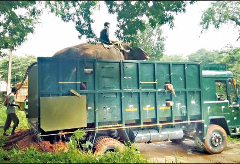 காட்டுயானையை பிடிக்க தேவாரத்துக்கு சென்ற கும்கிகள்