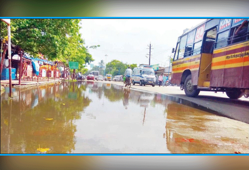 திருச்செந்தூர், காயல்பட்டினம் பகுதியில் பலத்த மழை நெற்பயிர்கள் தண்ணீரில் மூழ்கின