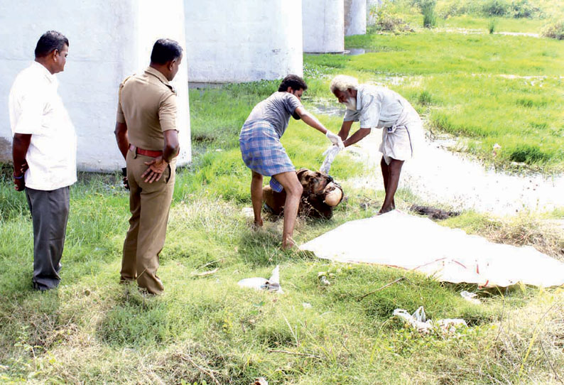 தாராபுரம் அருகே பெண் கொடூரக்கொலை; சாக்குமூடையில் உடலை கட்டி ஓடையில் வீச்சு