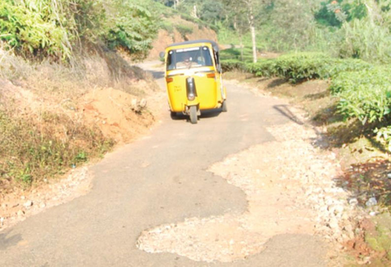 சேரம்பாடி அருகே குண்டும், குழியுமான சாலையை சீரமைக்க கோரிக்கை