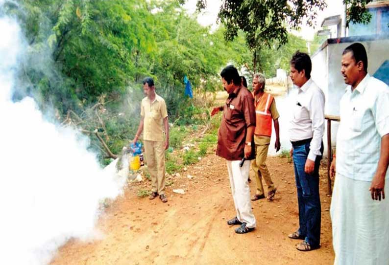 நாட்டரசன் கோட்டையில் டெங்கு ஒழிப்பு நடவடிக்கை; பேருராட்சிகளின் உதவி இயக்குனர் ஆய்வு