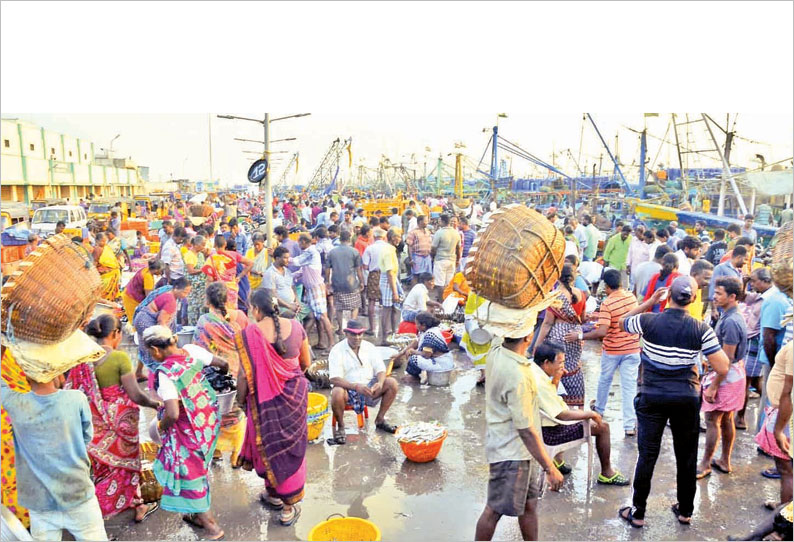 காசிமேட்டில் மீன் வாங்க குவிந்த பொதுமக்கள்