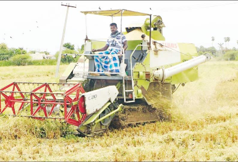 தஞ்சை, நாகை, திருவாரூர் மாவட்டங்களில் 35 ஆயிரம் எக்டேரில் குறுவை அறுவடை முடிந்தது