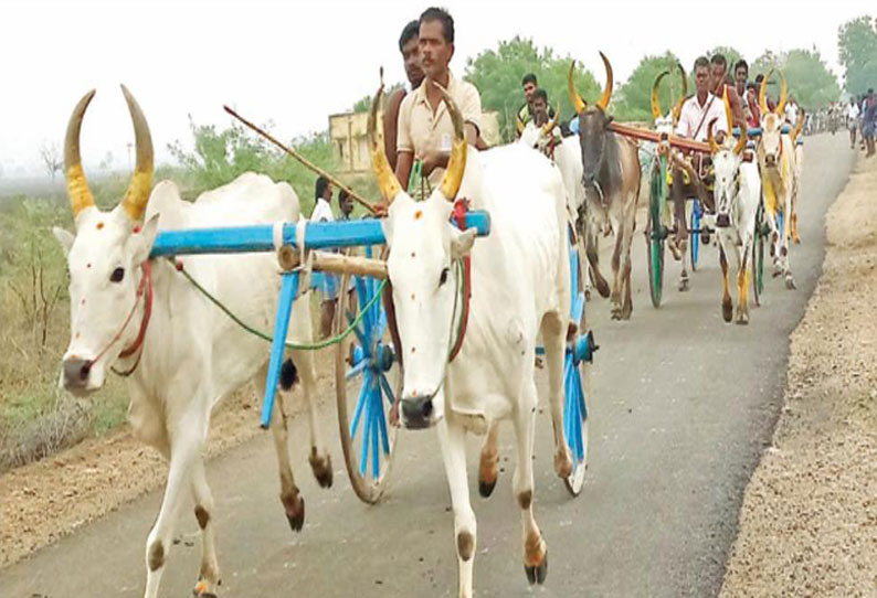 விளாத்திகுளம் அருகே மாட்டு வண்டி பந்தயம்