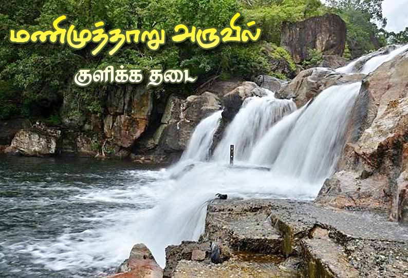 மணிமுத்தாறு அருவியில் குளிக்க சுற்றுலா பயணிகளுக்கு தடை