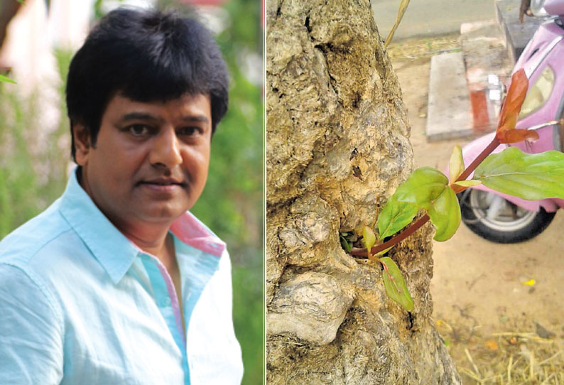 நடிகர் விவேக் முயற்சியால் பட்டுப்போன 100 ஆண்டுகள் பழமையான மரம் துளிர்விட்டது