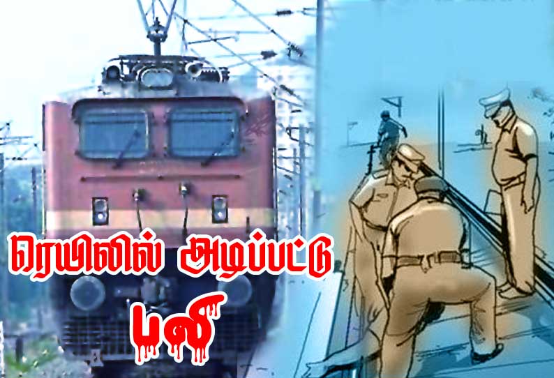 பாளையங்கோட்டையில் அடுத்தடுத்து சம்பவம் ரெயிலில் அடிபட்டு 2 பேர் பலி