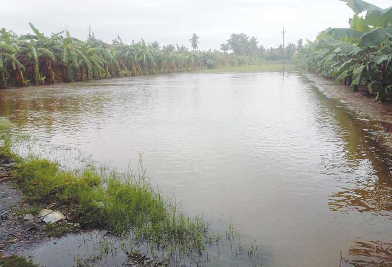 கோபி பகுதியில் விடிய விடிய கொட்டி தீர்த்த மழை 150 ஏக்கர் பரப்பளவிலான வாழை– நெல் பயிர்களை வெள்ளம் சூழ்ந்தது