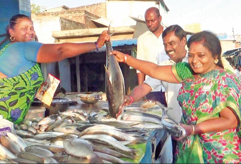 தூத்துக்குடி துப்பாக்கி சூடு சம்பவம்: பா.ஜனதா மீதான பொய்யான பிரசாரத்தை முறியடிப்பேன் தமிழிசை சவுந்தரராஜன் பேட்டி