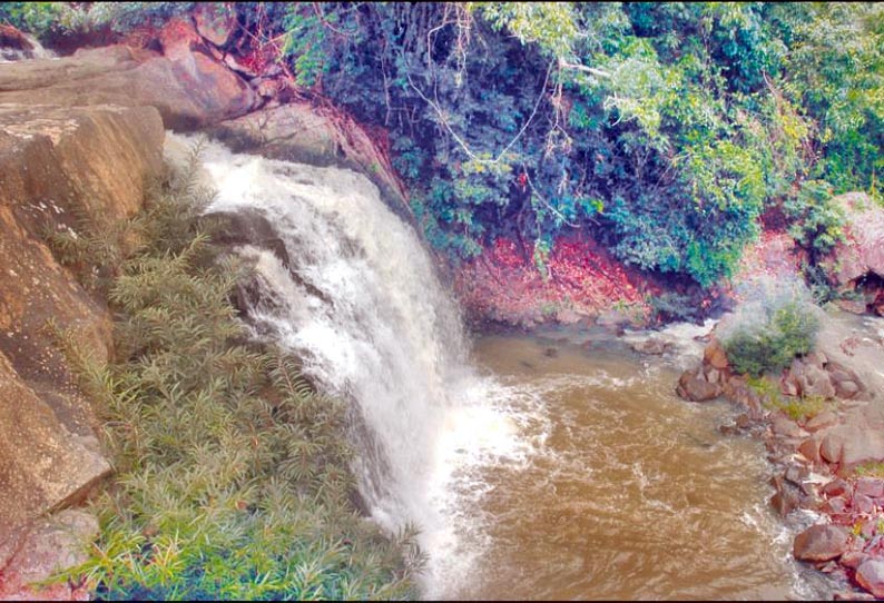 சுற்றுலா பயணிகள் கண்டு ரசிக்கும் வகையில் பாண்டியாறு நீர்வீழ்ச்சியில் அடிப்படை வசதிகள் செய்யப்படுமா? சமூக ஆர்வலர்கள் எதிர்பார்ப்பு