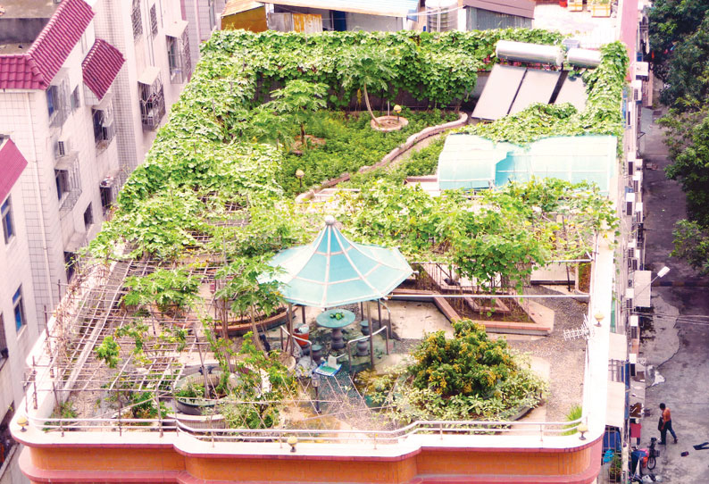 வீடுகளுக்குள் குளிர்ச்சி தரும் சுலபமான முறைகள் வீடுகளுக்குள் குளிர்ச்சி தரும் சுலபமான முறைகள்