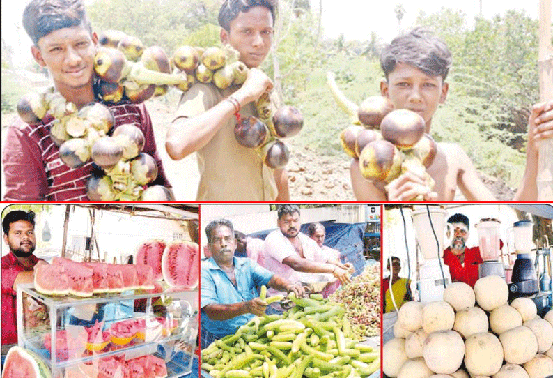 திருச்சியில் நுங்கு, வெள்ளரி விற்பனை அமோகம்