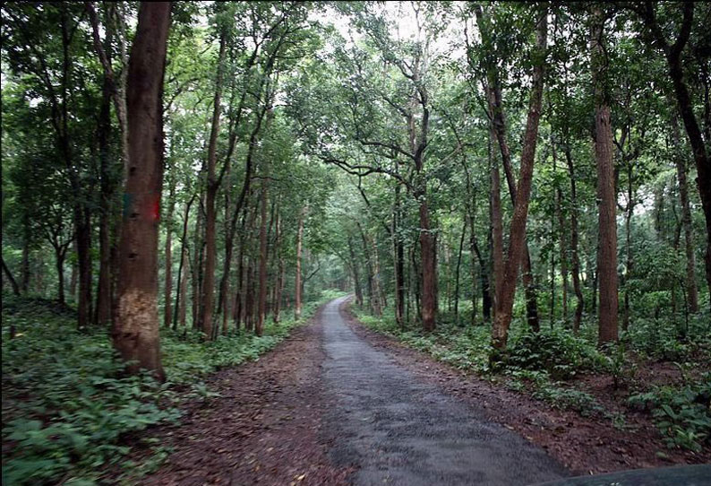 ஒடிசாவின் அடர்ந்த காட்டுப்பகுதியில் 15 கி.மீ. தூரம் நடந்து சென்ற தேர்தல் பணியாளர்கள்
