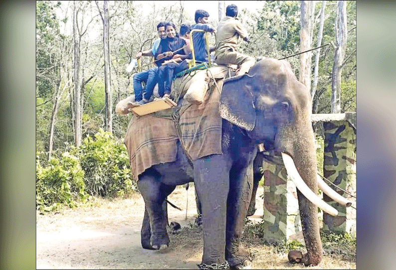 டாப்சிலிப்பில் குவிந்த சுற்றுலா பயணிகள் யானை சவாரி செய்து மகிழ்ந்தனர்