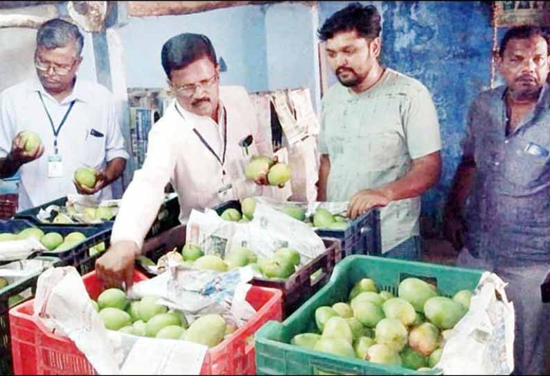 திருப்பூரில் பழ குடோன்களில் உணவு பாதுகாப்பு அதிகாரிகள் ஆய்வு - உரிமம் பெறாத வியாபாரிகளுக்கு எச்சரிக்கை