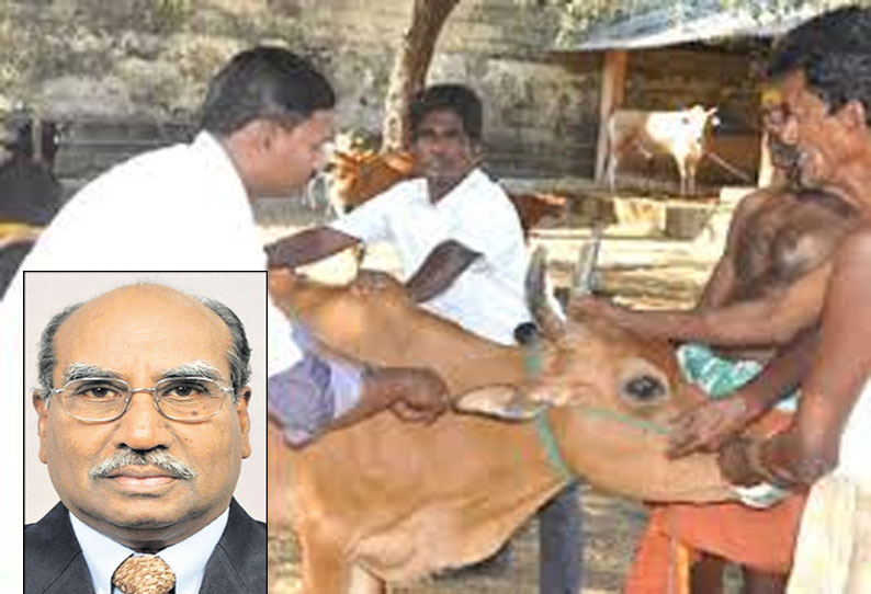 மனித சமுதாயத்துக்கு கால்நடை மருத்துவ துறையின் உன்னத சேவை...! மனித சமுதாயத்துக்கு கால்நடை மருத்துவ துறையின் உன்னத சேவை...!