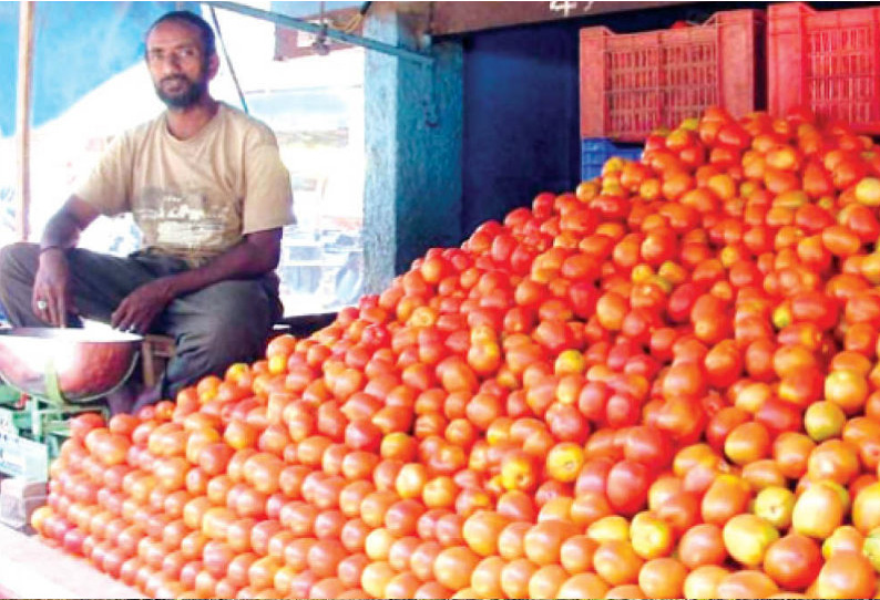 மைசூருவில் தக்காளி விலை கிடுகிடு உயர்வு ஒரு கிலோ ரூ.50-க்கு விற்பனை