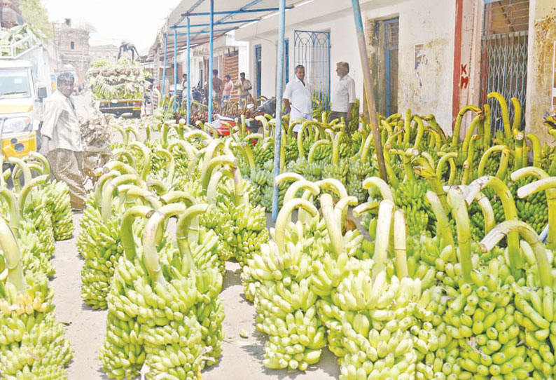 தஞ்சை புயல் காரணமாக விற்பனைக்கு குவிந்த வாழைத்தார்கள் விலை வீழ்ச்சி; விற்பனையும் மந்தம்