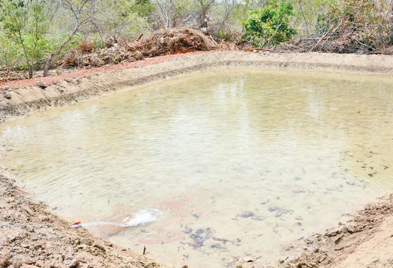 தஞ்சை தமிழ்ப்பல்கலைக்கழகத்தில் விலங்குகள், பறவைகளின் தாகத்தை தீர்க்க 2,400 சதுர அடியில் குளம்