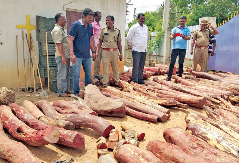 தனியார் குடோனில் பதுக்கி வைக்கப்பட்ட ரூ.5 கோடி செம்மரக்கட்டைகள் பறிமுதல்