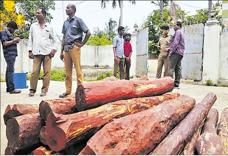 திருவேற்காட்டில் வீட்டில் பதுக்கி வைக்கப்பட்ட ரூ.10 லட்சம் செம்மரக்கட்டைகள் பறிமுதல்