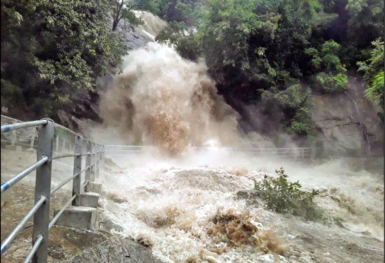 வனப்பகுதியில் பலத்த மழை, குரங்கு நீர்வீழ்ச்சியில் காட்டாற்று வெள்ளம் - சுற்றுலா பயணிகளுக்கு தடை