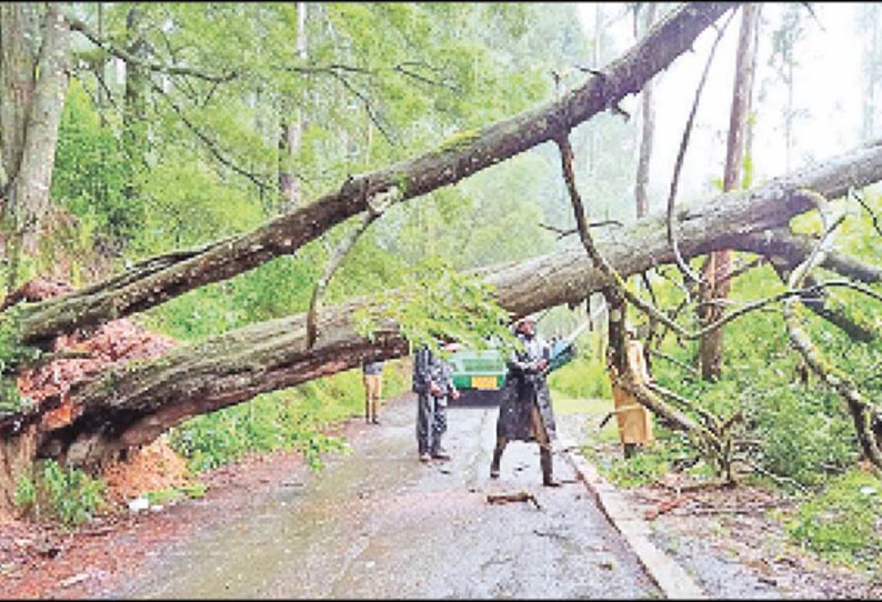 கோவை - நீலகிரி மாவட்டங்களில் பலத்த மழைக்கு 3 பேர் பலி