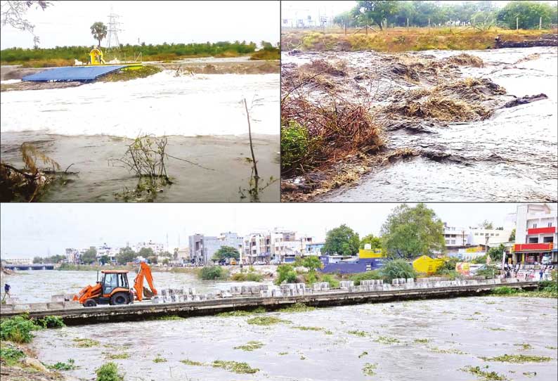 தொடர் மழை காரணமாக நொய்யல் ஆற்றில் சீறிப்பாய்ந்த வெள்ளம்; 2 பாலங்கள் வழியாக வாகன போக்குவரத்துக்கு தடை