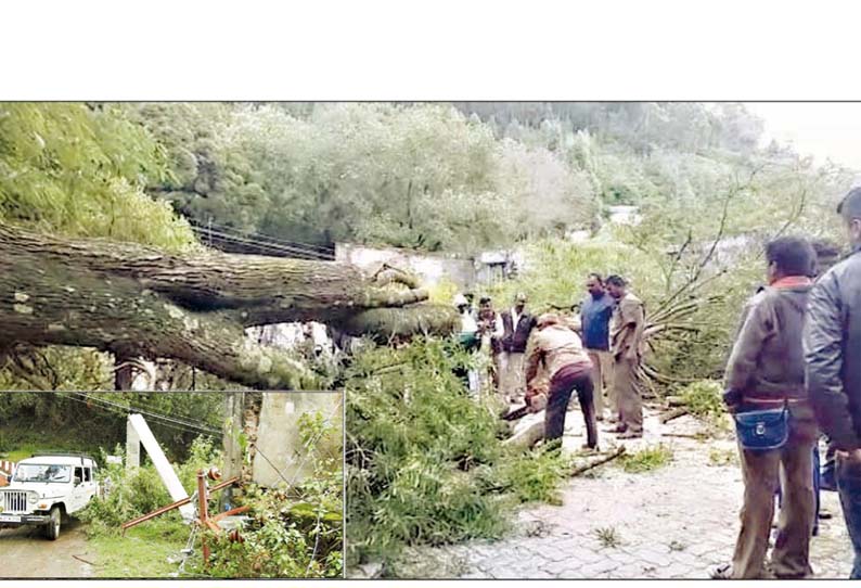 கொடைக்கானல் அருகே, சாலையில் சாய்ந்த மரத்தால் போக்குவரத்து பாதிப்பு