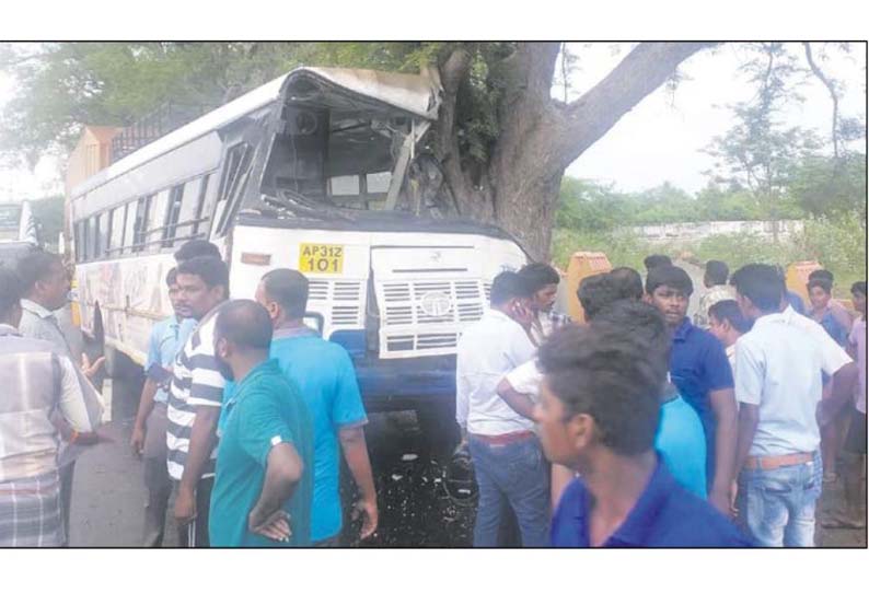 அரக்கோணம் அருகே, மரத்தில் பஸ் மோதி 17 பேர் படுகாயம்