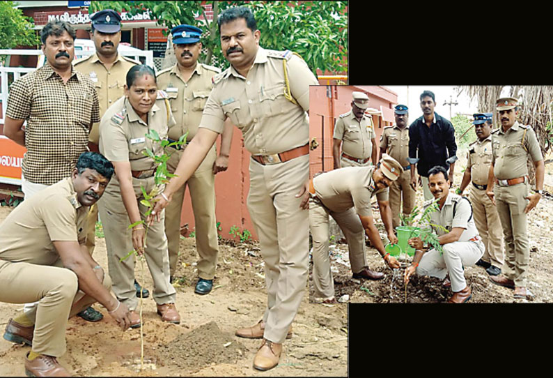 சிதம்பரம், விருத்தாசலம் பகுதி போலீஸ் நிலையங்களில் மரக்கன்றுகள் நடும் விழா