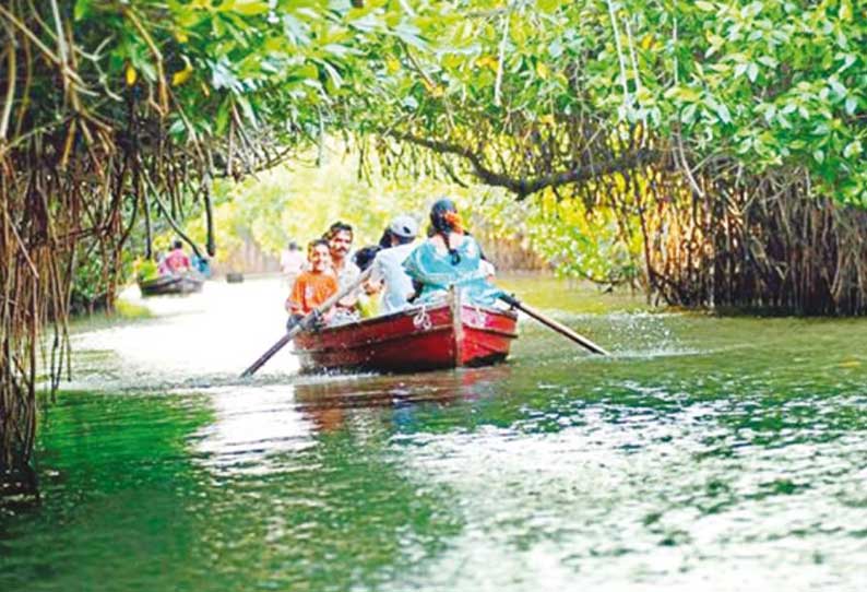 மாங்குரோவ் மரங்களின் வழியாக முருங்கப்பாக்கத்தில் இருந்து அரிக்கன்மேட்டிற்கு படகு சவாரி - சட்டசபையில் தகவல்