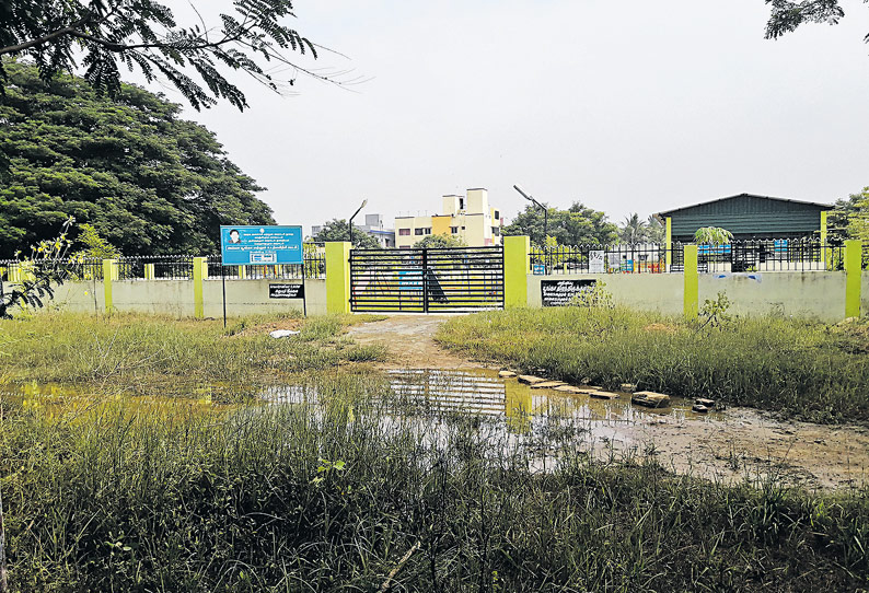 படப்பை அருகே அம்மா பூங்காவில் முளைத்திருக்கும் செடி, கொடி, புற்களை அகற்ற வேண்டும்