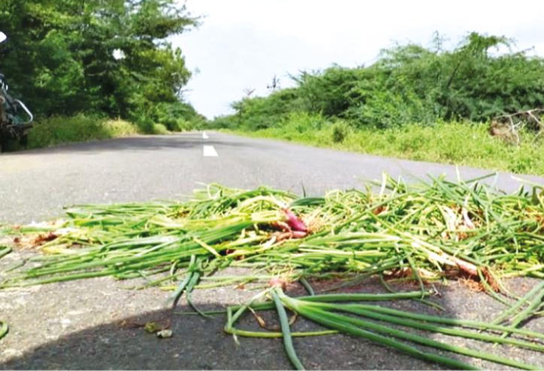 மழையால் அழுகி நாசமான வெங்காய பயிர் - விவசாயிகள் கண்ணீர்