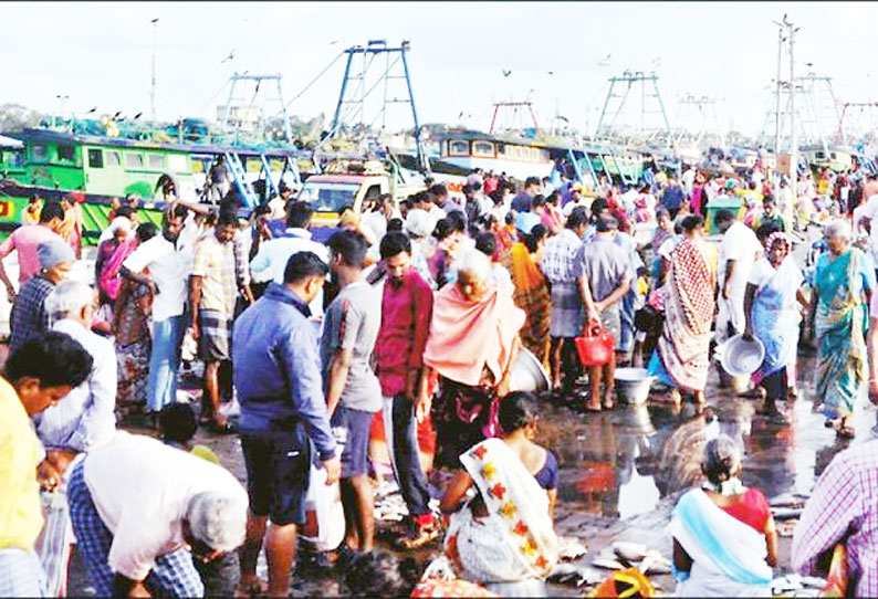 அக்கரைப்பேட்டை மீன்பிடி துறைமுகத்தில் மீன் வாங்க அலைமோதிய கூட்டம்