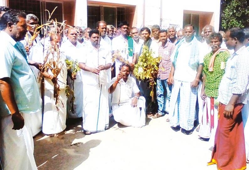 திட்டக்குடியில், மழையால் சேதமடைந்த பயிர்களுக்கு நிவாரணம் கேட்டு விவசாயிகள் ஆர்ப்பாட்டம்