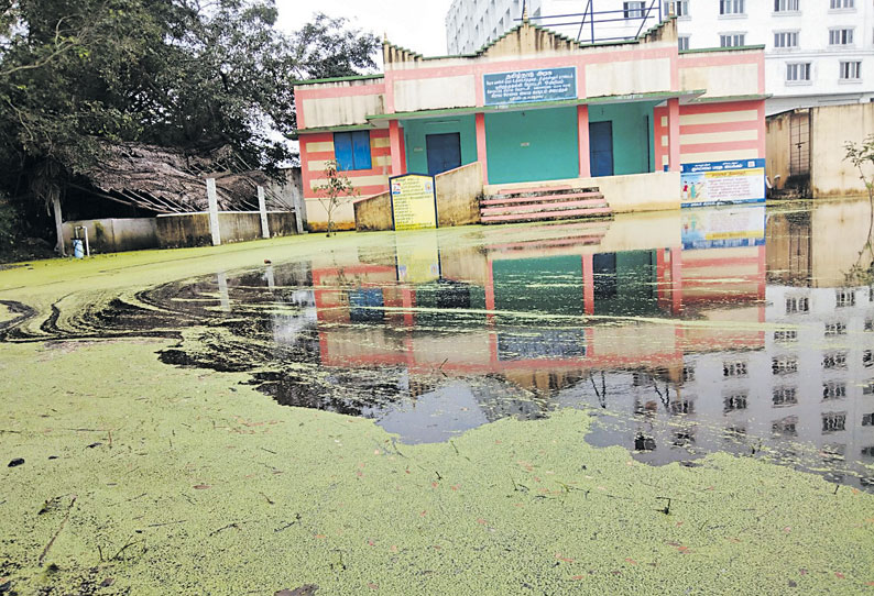 மழை நீர் தேங்கியதால்: குளம் போல் காட்சியளிக்கும் கிராம சேவை மைய கட்டிடம் - சீரமைக்க கோரிக்கை