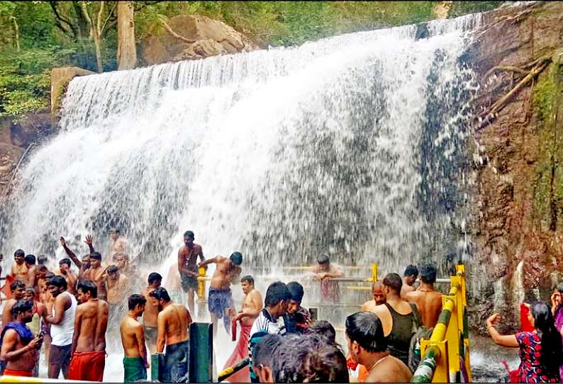 விடுமுறை தினத்தையொட்டி, சுருளி அருவியில் குவிந்த சுற்றுலா பயணிகள்