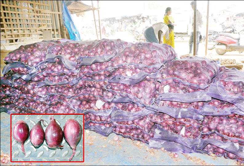 திருப்பூர் தென்னம்பாளையம் மார்க்கெட்டில் நெதர்லாந்து வெங்காயம் கிலோ ரூ.120-க்கு விற்பனை