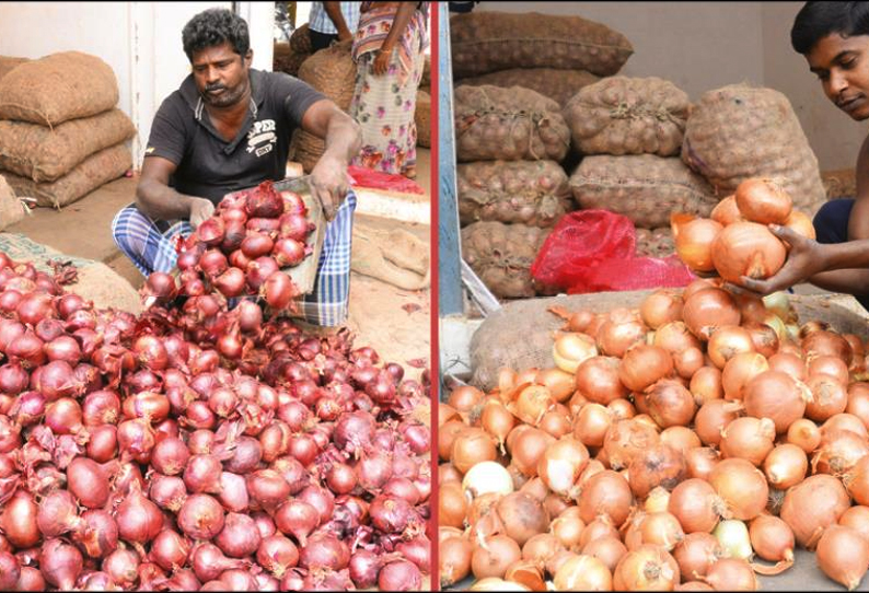 ஈரோட்டுக்கு விற்பனைக்கு வந்த எகிப்து-துருக்கி நாட்டு வெங்காயம்