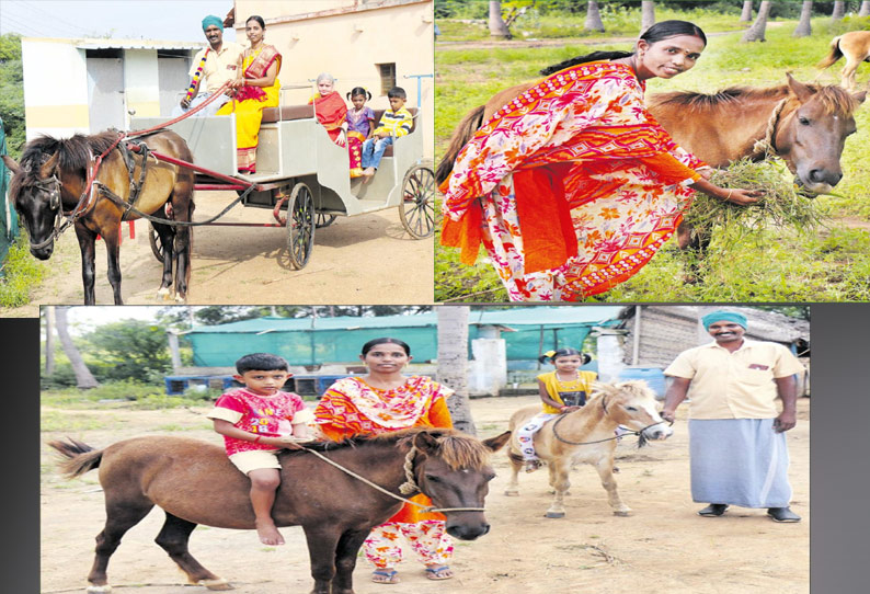 நாட்டு குதிரை 1000 கிலோ எடையை இழுக்கிறது; குதிரைக்கு தீவனம் வழங்கும் எழிலரசி; குதிரைகளில் பயணிக்கிறார்கள் நாட்டு குதிரை 1000 கிலோ எடையை இழுக்கிறது; குதிரைக்கு தீவனம் வழங்கும் எழிலரசி; குதிரைகளில் பயணிக்கிறார்கள்
