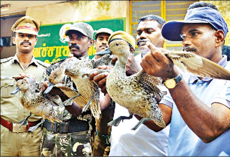 ராமநாதபுரம் அருகே, அரிய வகை வெளிநாட்டு பறவைகளை வேட்டையாடிய 5 பேர் சிக்கினர்