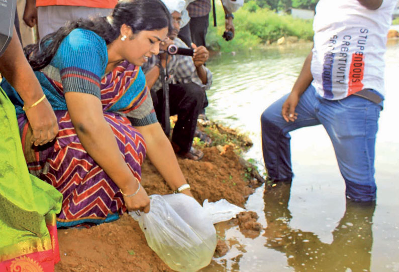 பாளையங்கோட்டை வேய்ந்தான்குளத்தில் 2 ஆயிரம் மீன்குஞ்சுகள் விடப்பட்டன