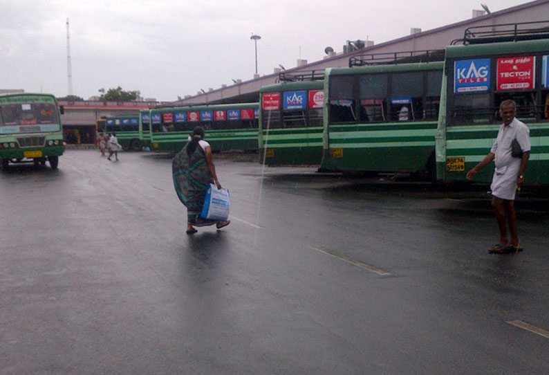 மார்கழி மாத ஞாயிற்றுக்கிழமையை முன்னிட்டு நெல்லையில் இருந்து நவகைலாய கோவில்களுக்கு சிறப்பு பஸ்கள்