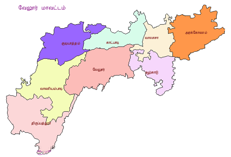 வேலூர் மாவட்டத்தில் பள்ளிக்கு வராத 39 ஆசிரியர்களுக்கு நோட்டீசு அதிகாரிகள் தகவல்