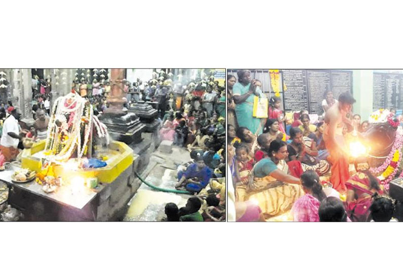 நெல்லை மாவட்டத்தில் கோவில்களில் சனி பிரதோஷ வழிபாடு