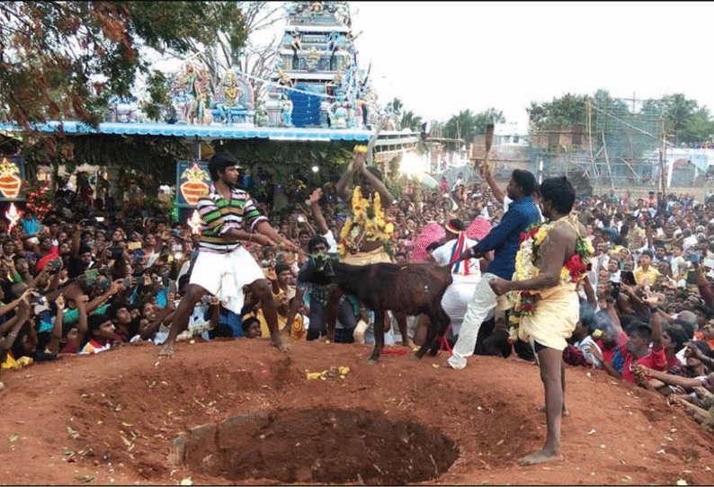 ராசிபுரம் அருகே பத்ரகாளியம்மன் கோவில் திருவிழா திரளான பக்தர்கள் தரிசனம்