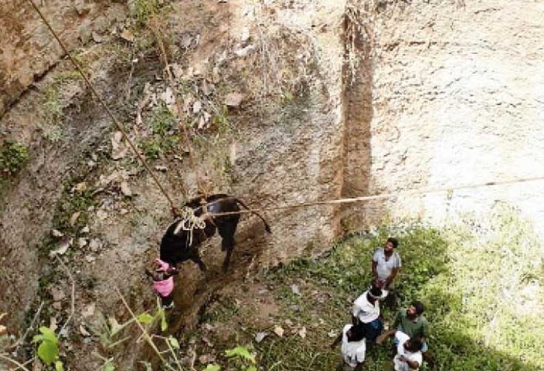 வத்திராயிருப்பு அருகே ஜல்லிக்கட்டில் துள்ளி ஓடிய காளை கிணற்றில் விழுந்தது தீயணைப்பு வீரர்கள் மீட்டனர்